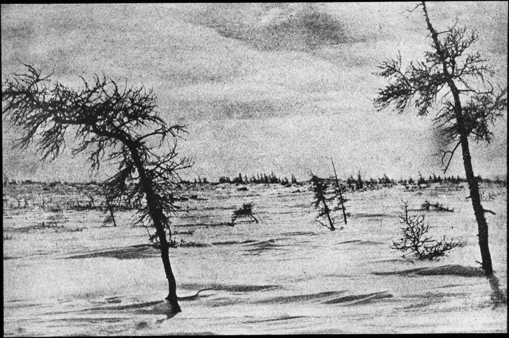 Northern limit of trees, Labrador Peninsula