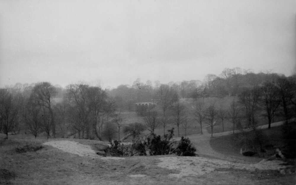 Hampstead: View of Heath