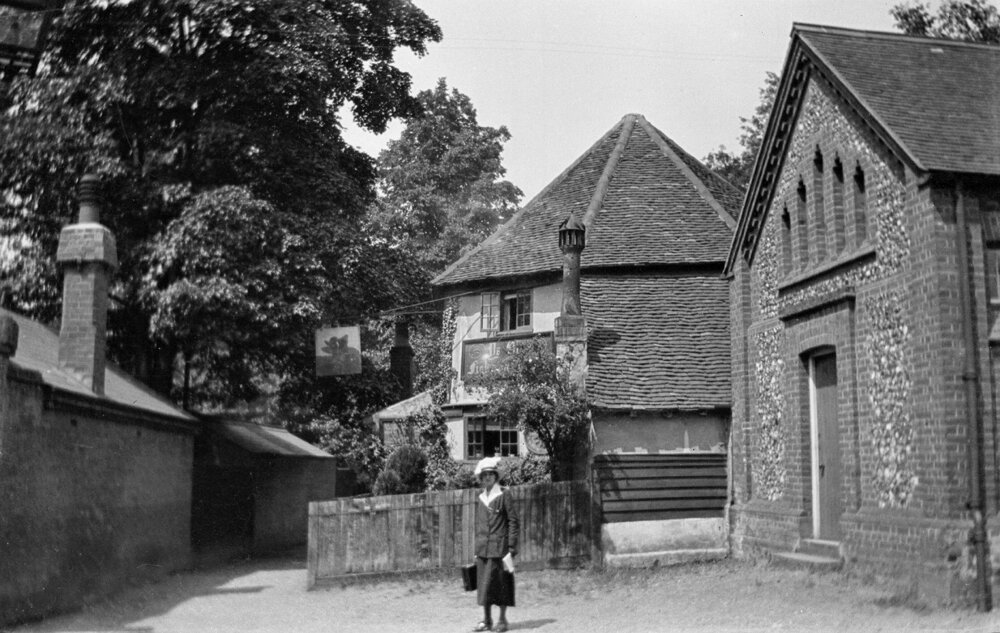 St Albans: "Fighting Cocks"