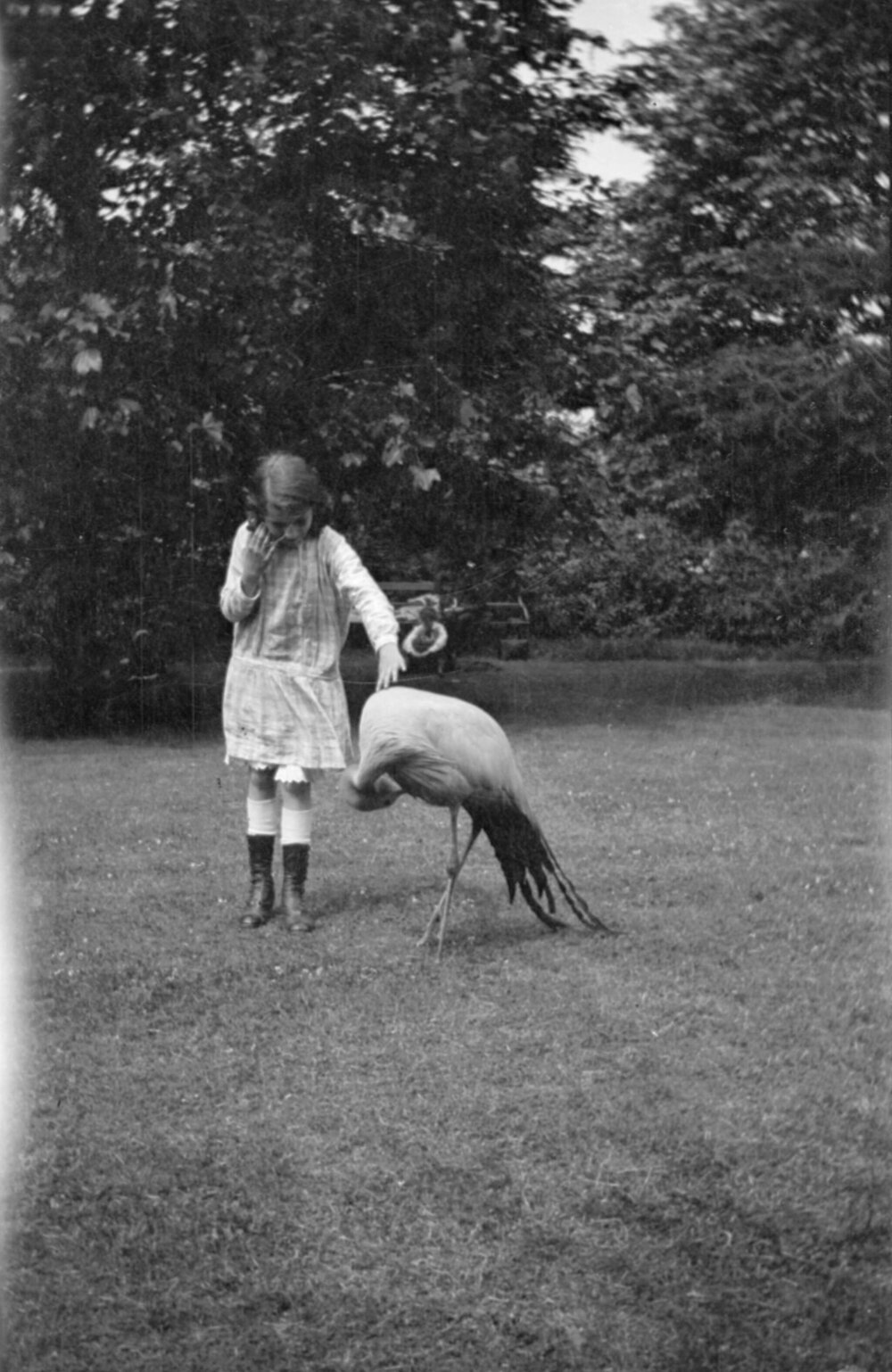 Kew Gardens: Stork