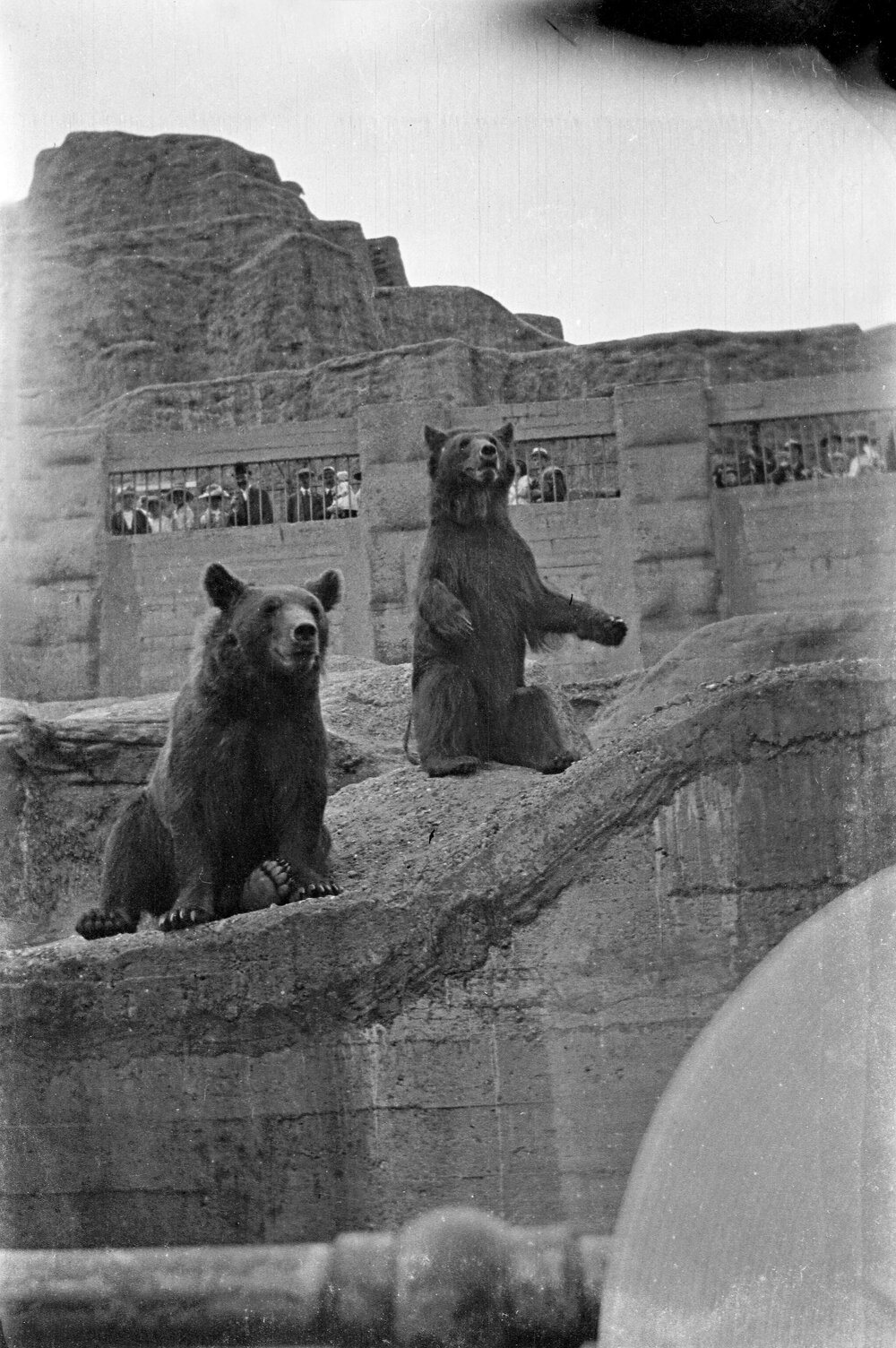 Regent Park Zoo: Bears