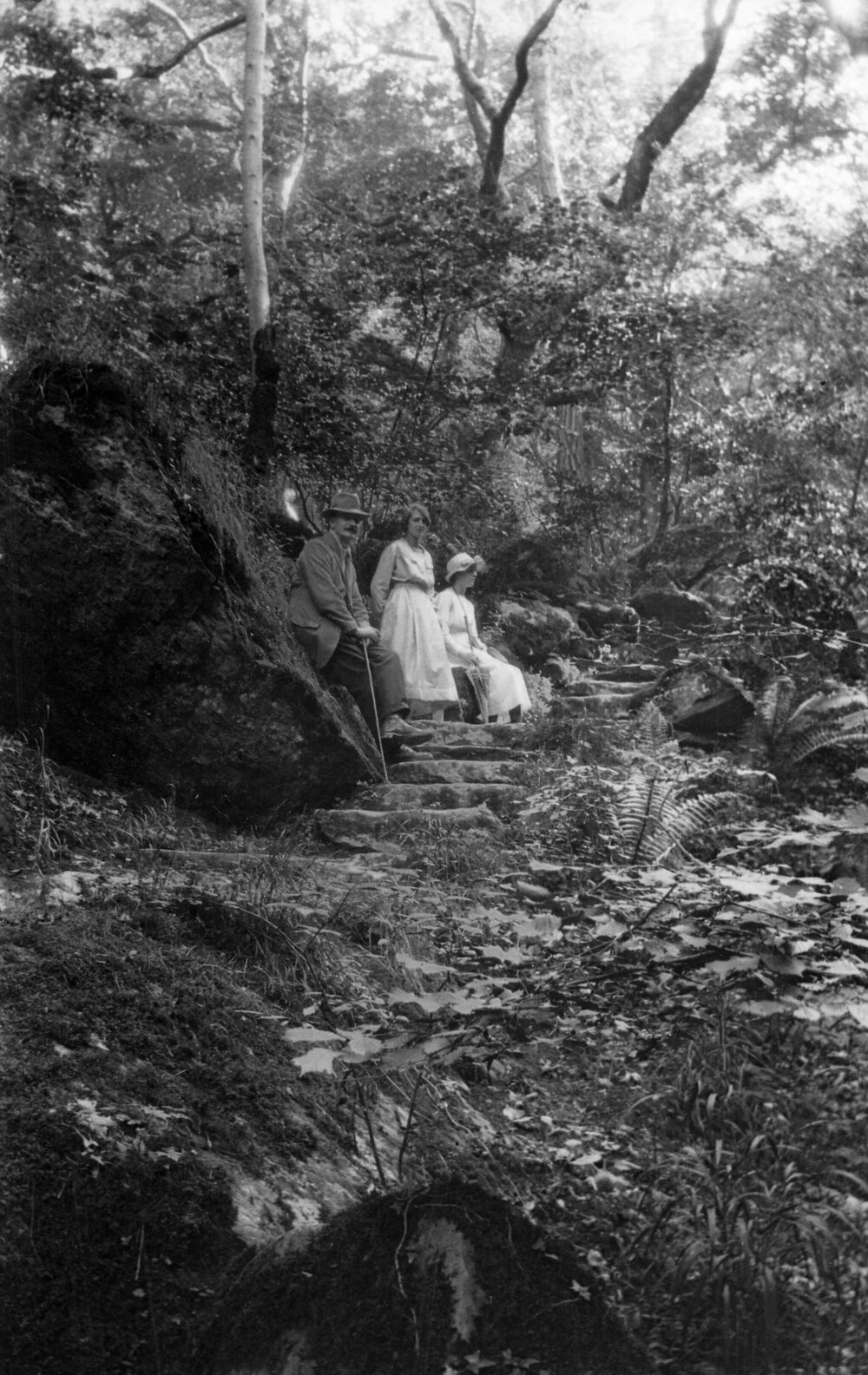 Lynmouth: Steps in Glen Lyn