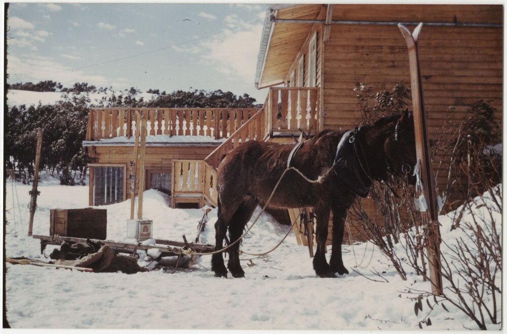 Horse drawn luggage service, Mt Buller