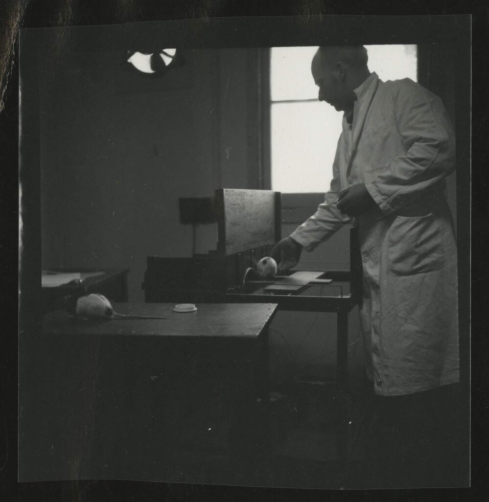 Man wearing laboratory coat with hooded rat, University of Melbourne Department of Psychology, 'Tin Hut' laboratory, Tin Alley