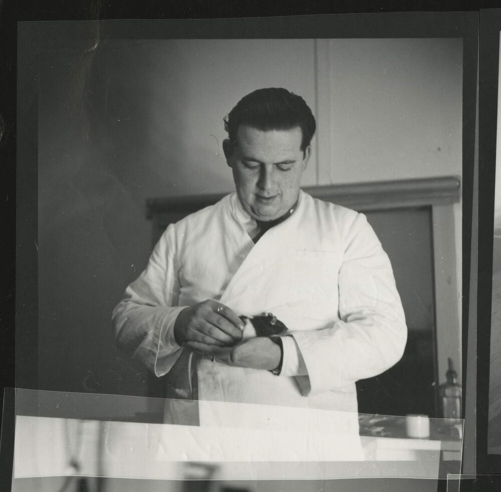 Kolman Star with hooded rat, University of Melbourne Department of Psychology, 'Tin Hut' laboratory, Tin Alley