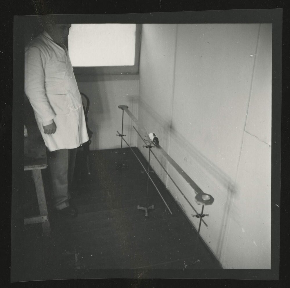 Hooded rat and laboratory equipment, University of Melbourne Department of Psychology, 'Tin Hut' laboratory, Tin Alley