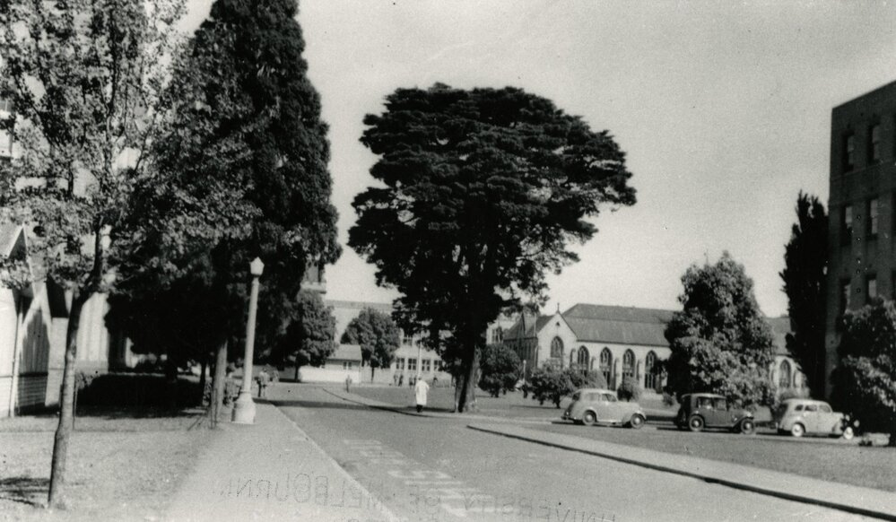View along Masson Road, University of Melbourne, 3rd term 1954.