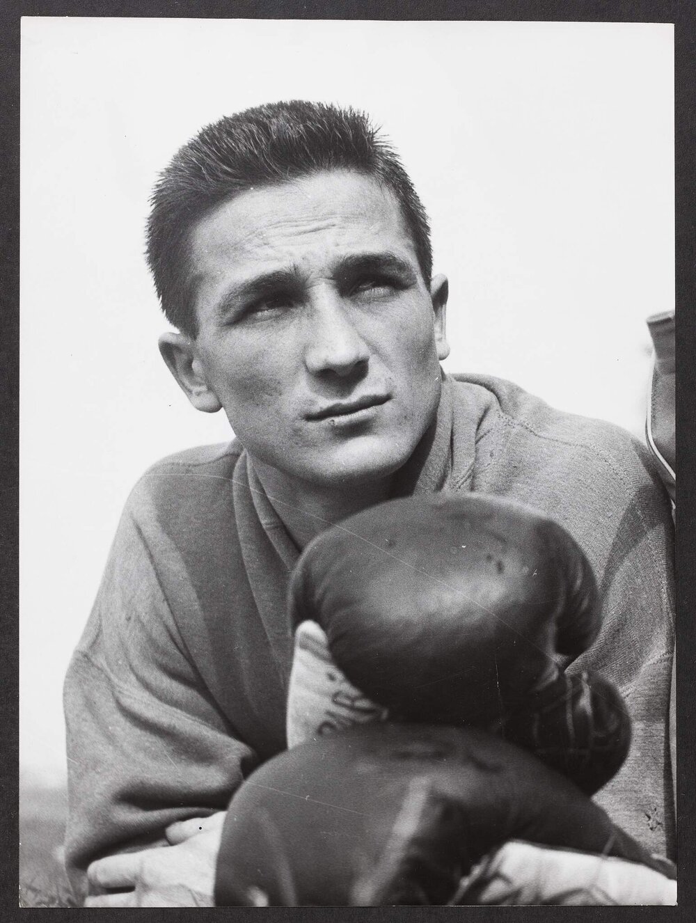 [Photograph of a boxer only identified as Campari]