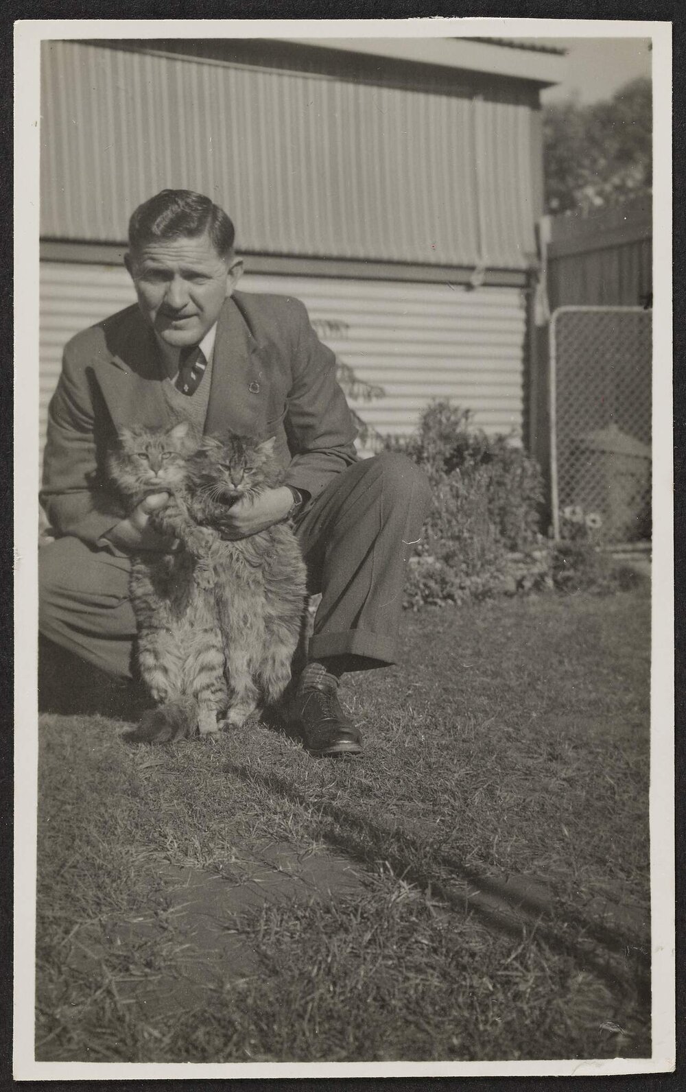 [Photograph: Mildura campus. Man with two fluffy cats]