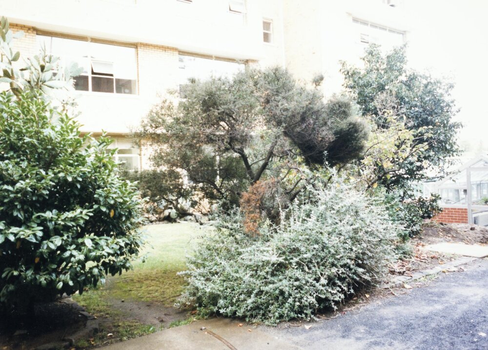 Courtyard between Babel and Botany buildings, University of Melbourne, May 1986.