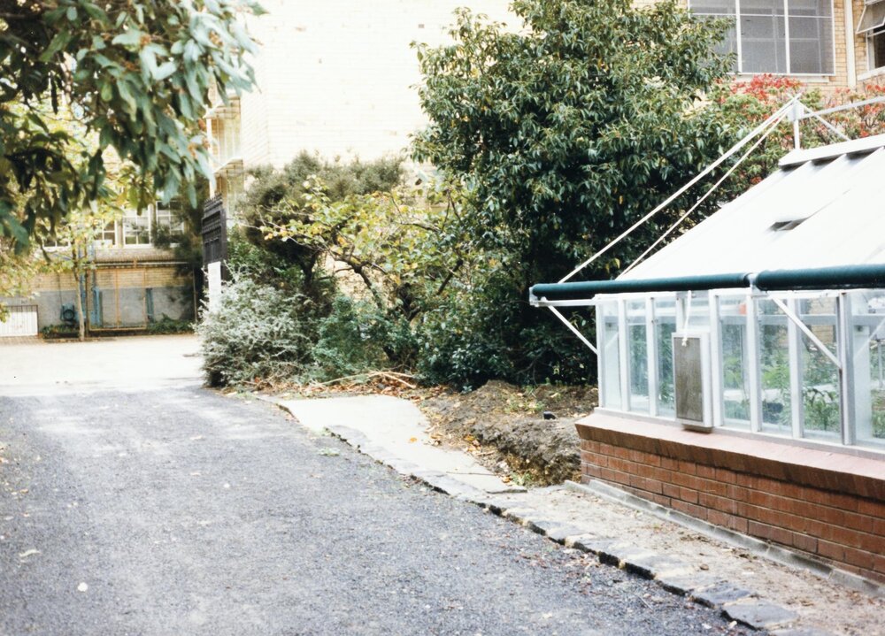 Road between Babel and Botany buildings, University of Melbourne, May 1986.