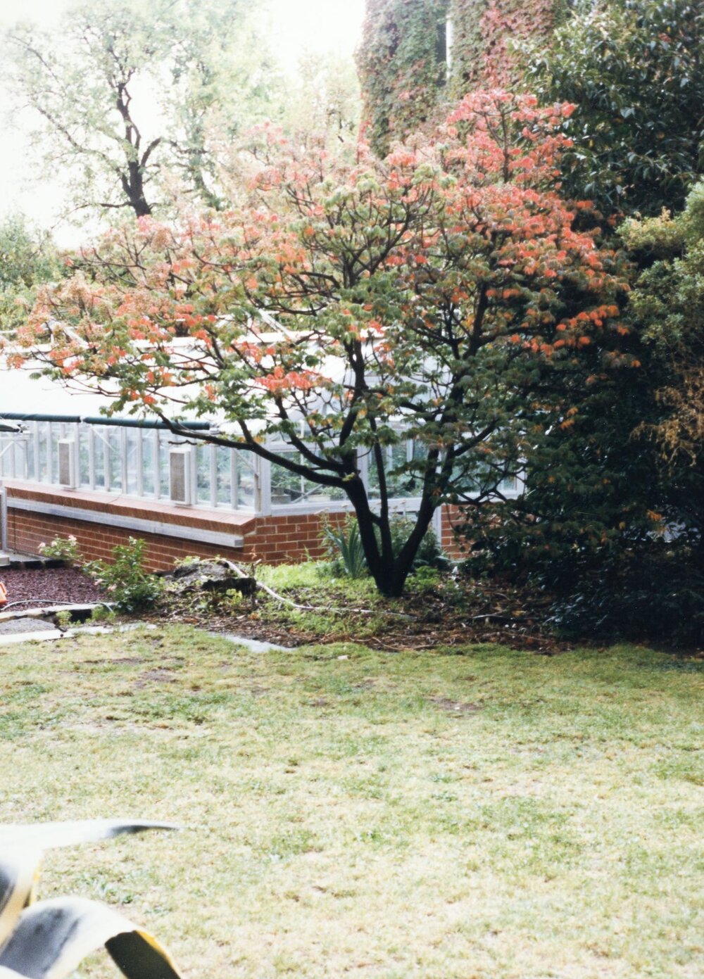 Courtyard between Babel and Botany buildings, University of Melbourne, May 1986.