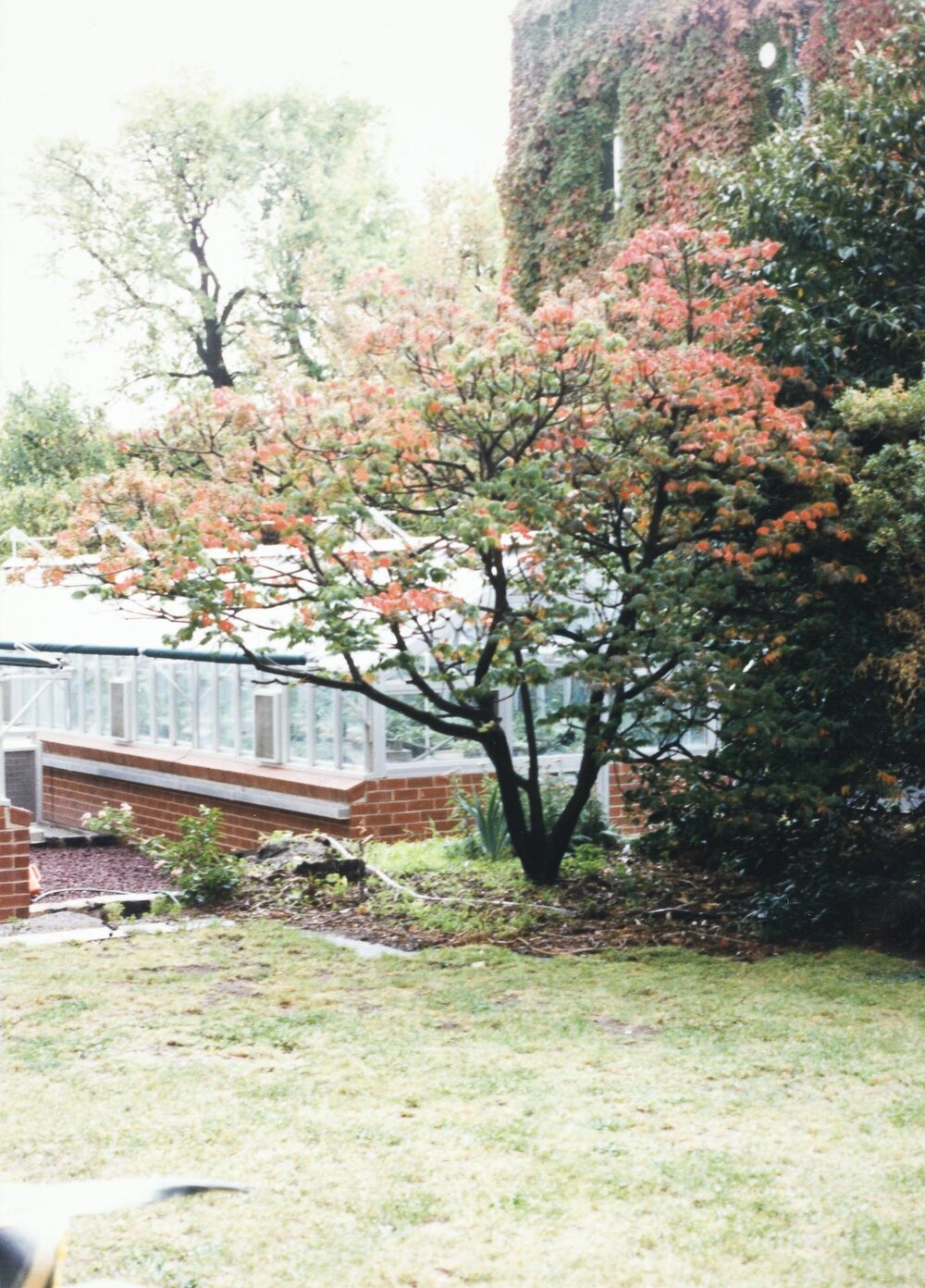 Courtyard between Babel and Botany buildings, University of Melbourne, May 1986.