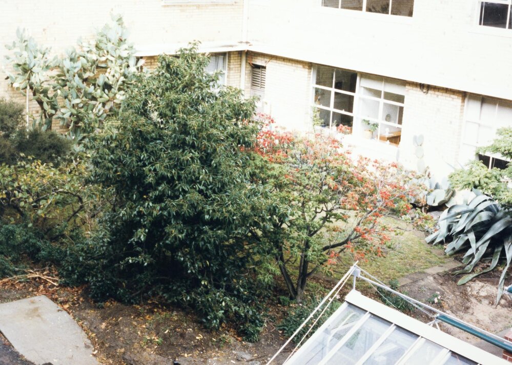 Courtyard between Babel and Botany buildings, University of Melbourne, May 1986.