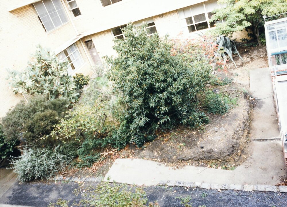 Courtyard between Babel and Botany buildings, University of Melbourne, May 1986.