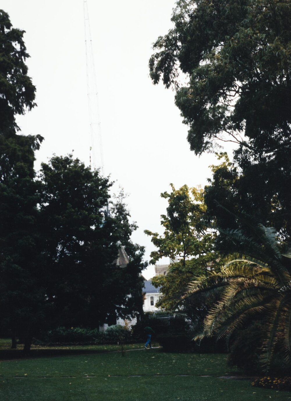 System Garden, University of Melbourne, May 1986.