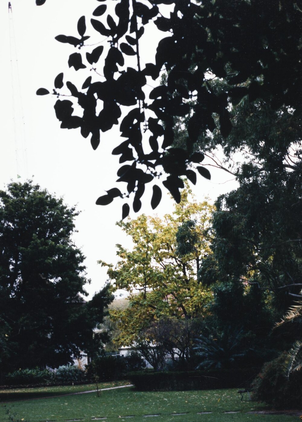 System Garden, University of Melbourne, May 1986.