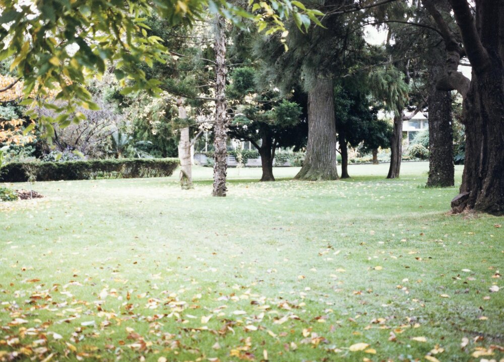 System Garden, University of Melbourne, May 1986.