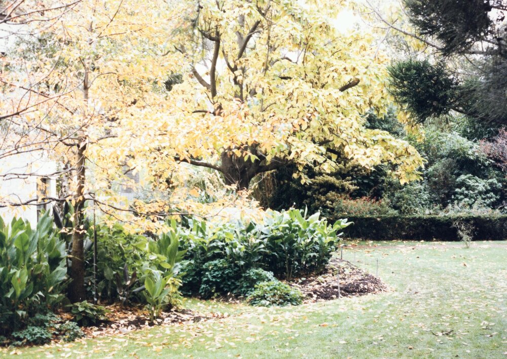 System Garden, University of Melbourne, May 1986.