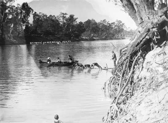 A swimming event on the Murray River at Yarrawonga.