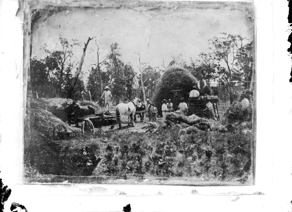 A farming scene showing men and horses at work.