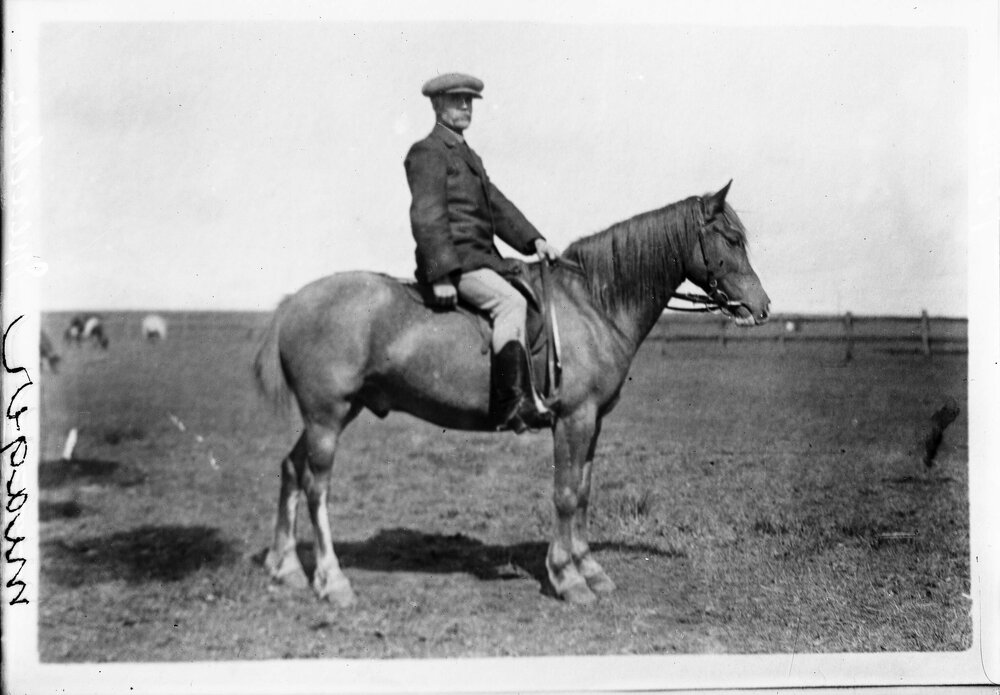 A moustached man wearing a cap and sitting astride a horse.