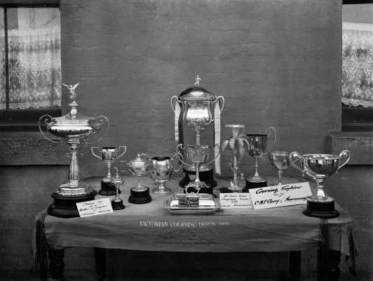 Display of silver or silver plate sporting trophies and a sash.