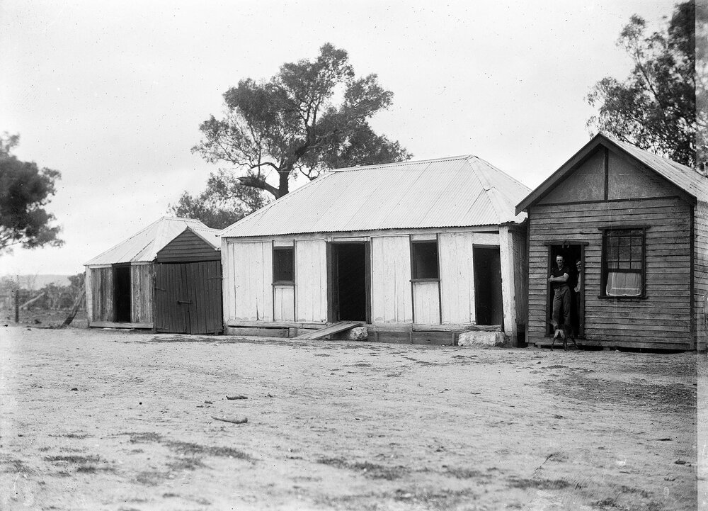 A group of  timber buildings in a rural environment, possibly near Benalla.