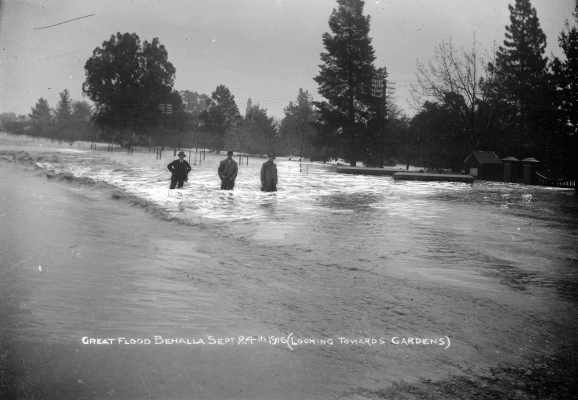 Flooded roadway and  Gardens in Benalla, September 24th 1916.