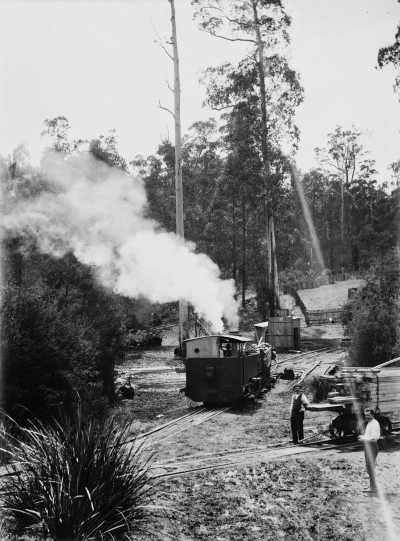 Timber milling operation in an unidentified location, possibly in North-eastern Victoria.
