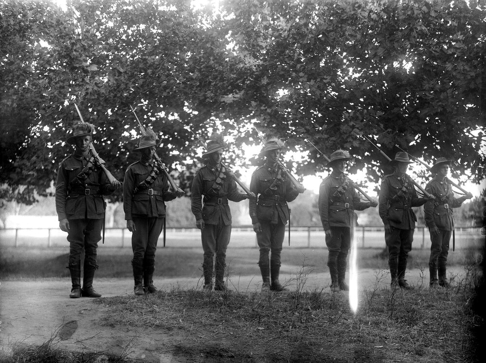 An unidentified group of soldiers with rifles, standing to attention in a park environment.