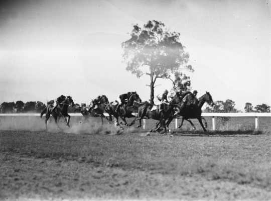 A horse race at an unidentified country racecourse.