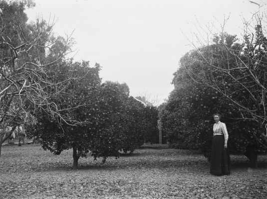 A woman standing in a home orchard amongst fruit trees.