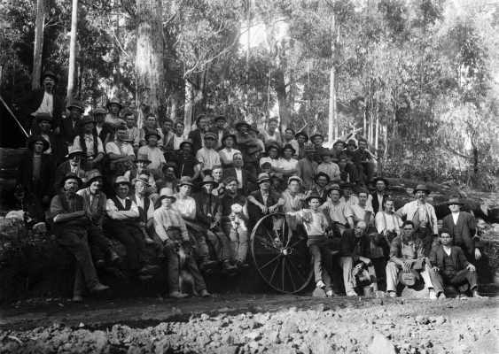 A posed group of about 50 male workers in a forest environment.