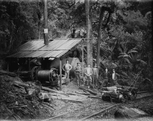 Timber harvesting in an unidentified temperate rainforest.