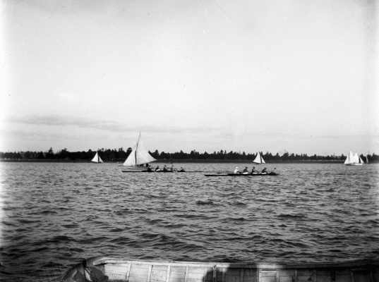 Rowers and yachts on an unidentified lake.