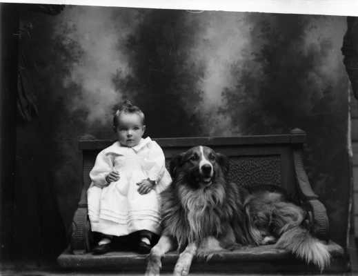 Studio portrait of a baby and a collie dog.   Family name Dempsey.