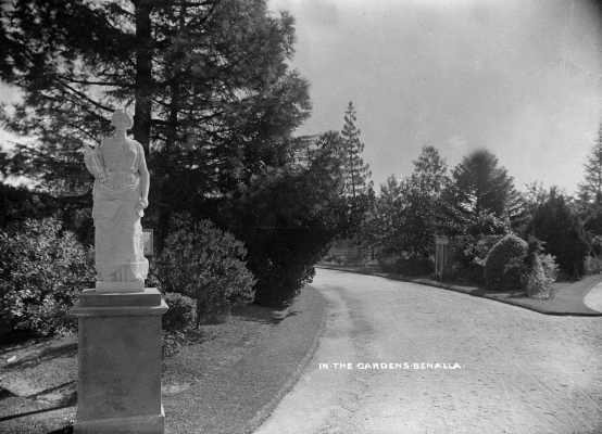 A view of part of the Benalla Botanical Gardens.