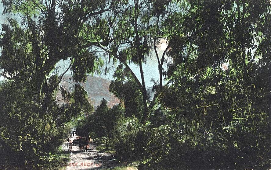 Scene near Beechworth (?)