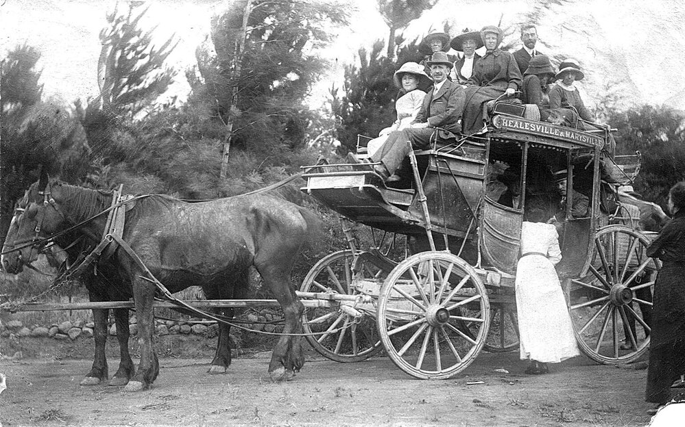 Cobb &amp; Co. Coach.