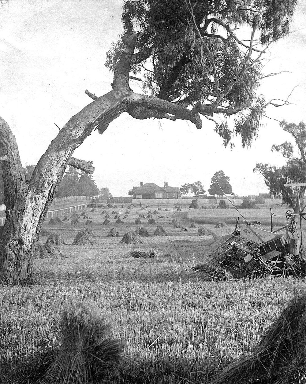 Bishop Residence, Caulfield.