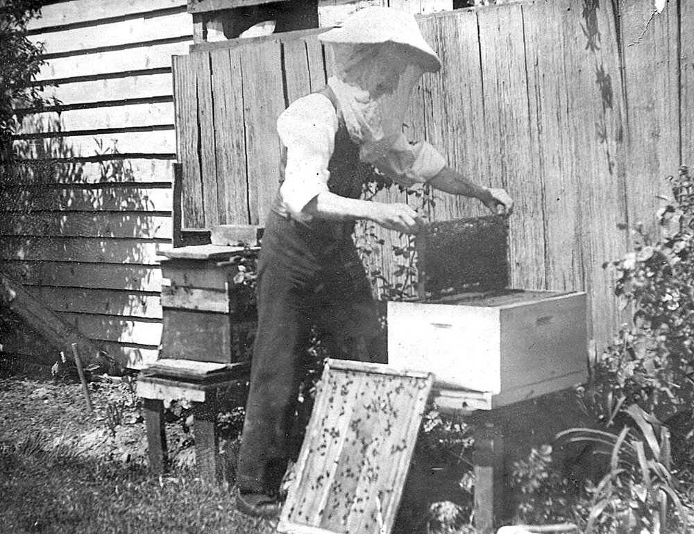 Beekeeping.