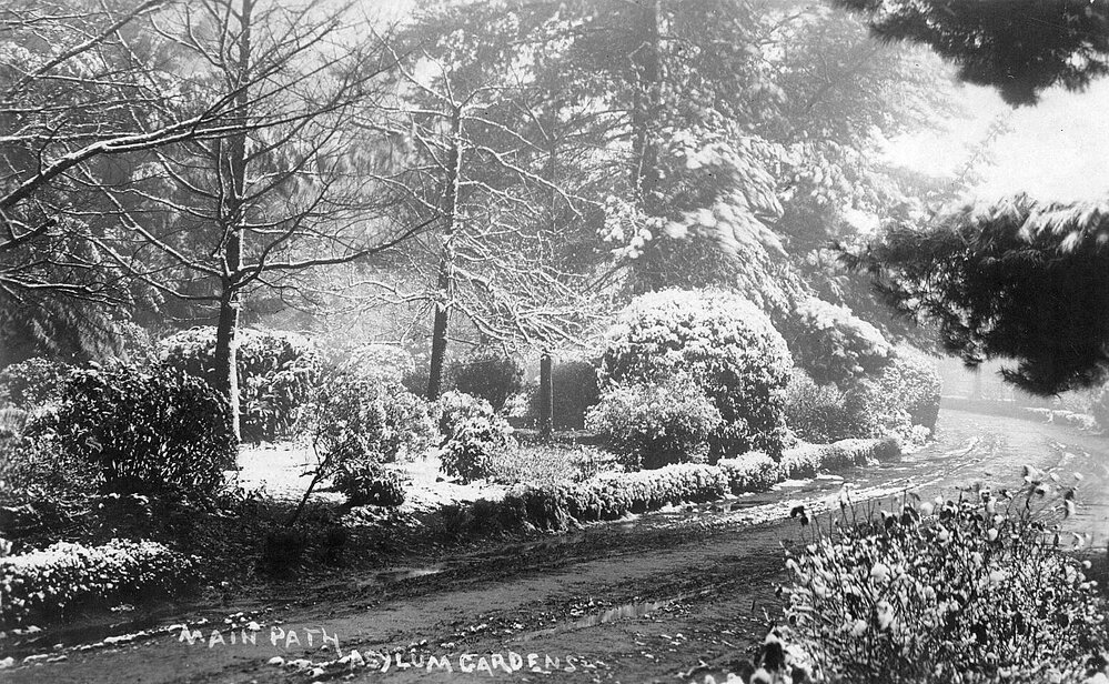 Main Path, Asylum Gardens.
