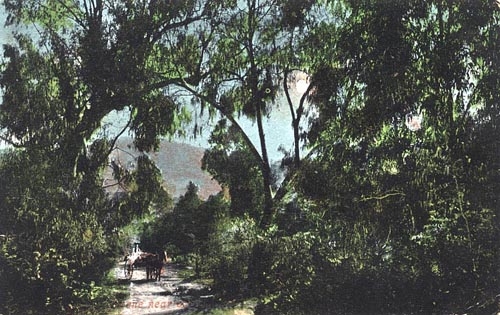 Country scene.