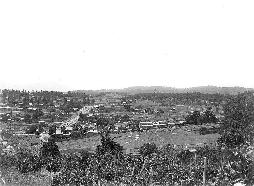 Newtown, Beechworth.
