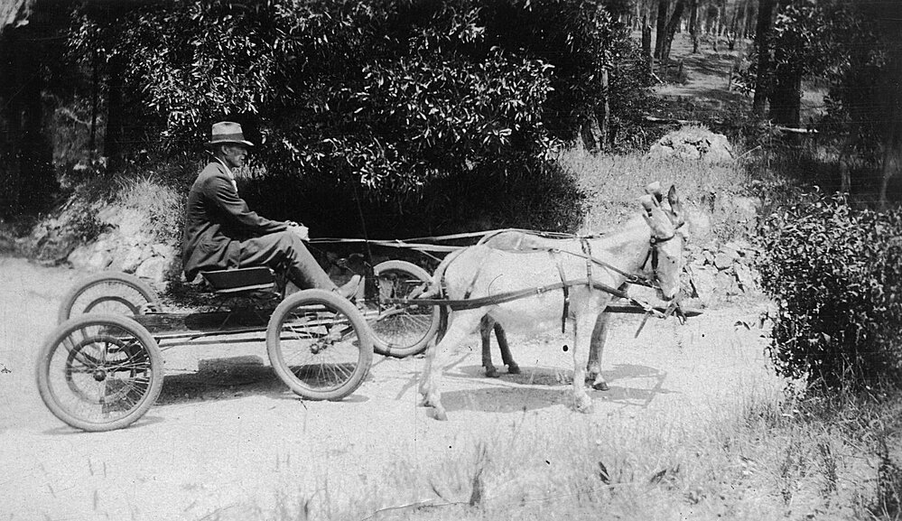 Mr Allen Tye's, Romsey