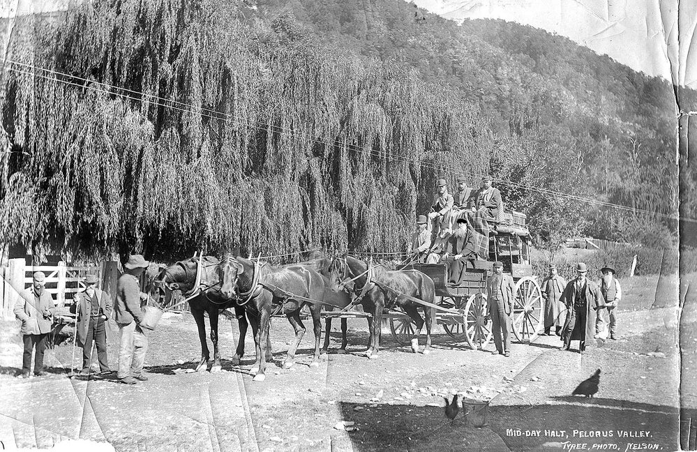 Mid-Day Halt, Pelorus Valley