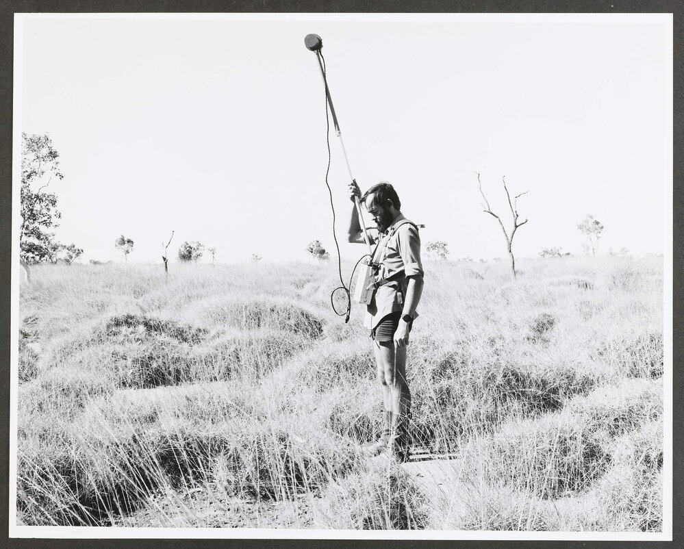 Ashton Joint Venture, Argyle Diamond