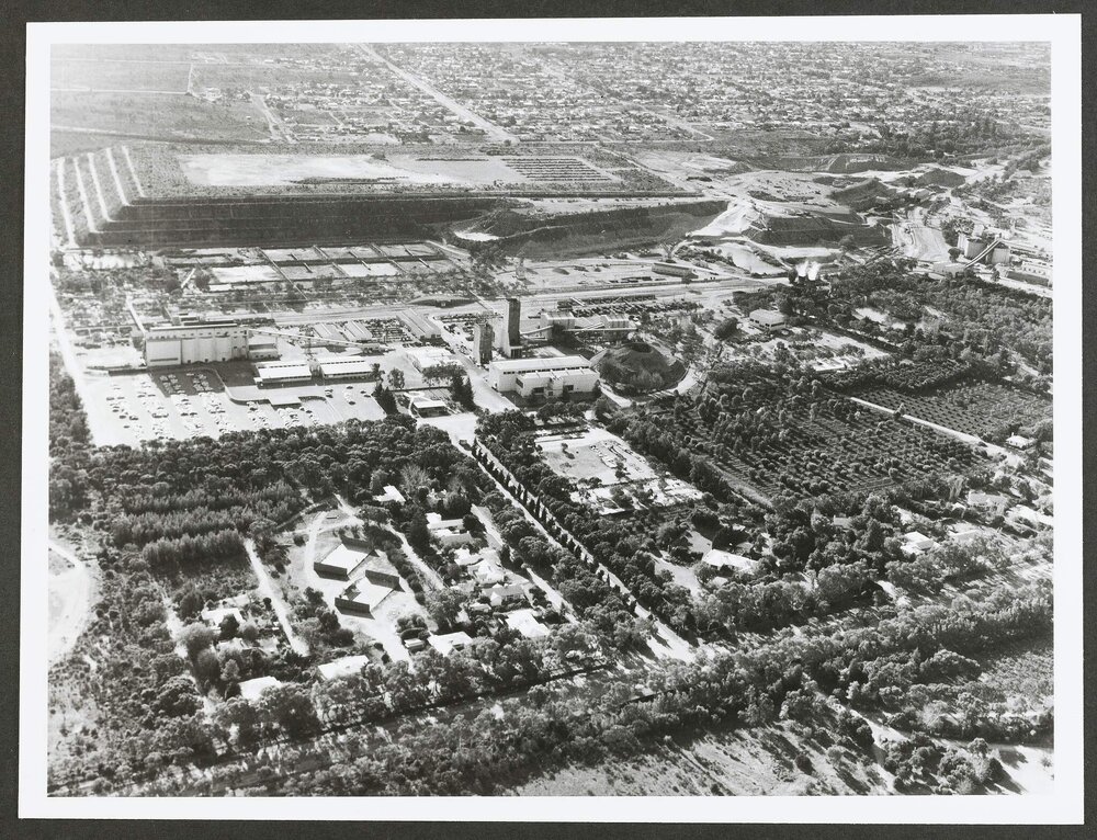 [Zinc Corporation Plant]