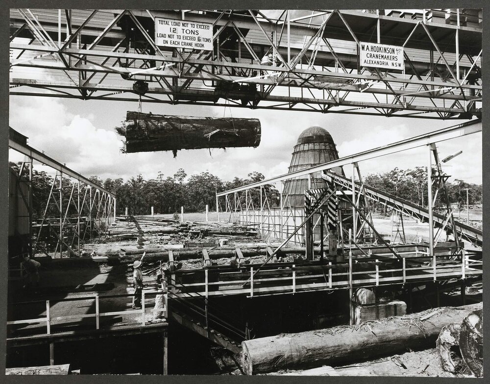 [Heron's Creek Timber Mills] Hoist and Log Storage Yard